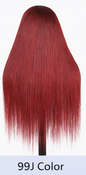 Ombre Frost Brown 24' Glueless Lace Front Wig Body Wave Brazilian Human Hair
